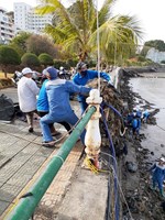 Gestion de la baie de Cat Ba unissez-vous pour nettoyer l'environnement de la baie